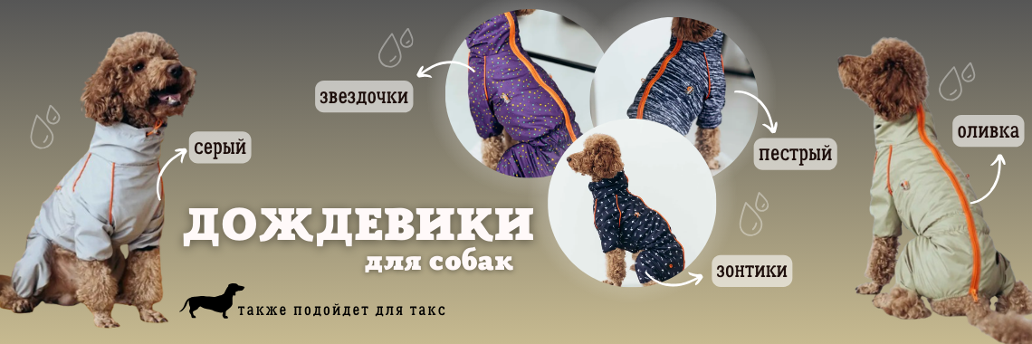 Дождевики кант