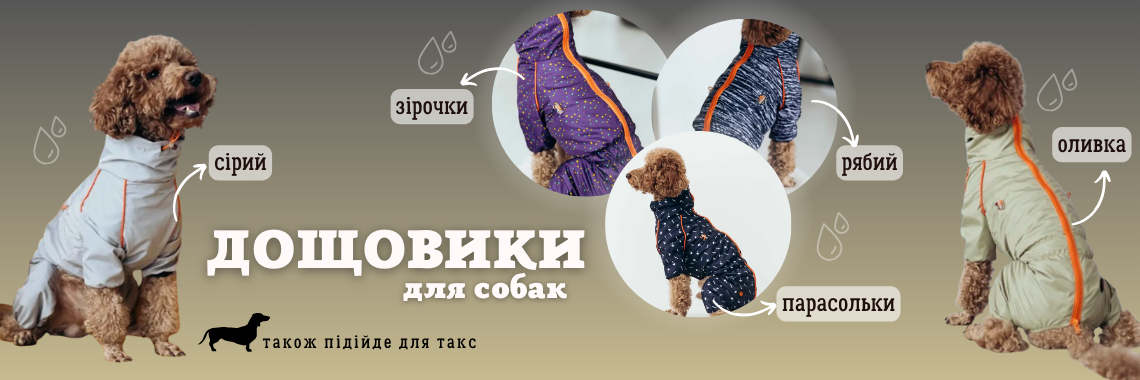 Дощовики кант
