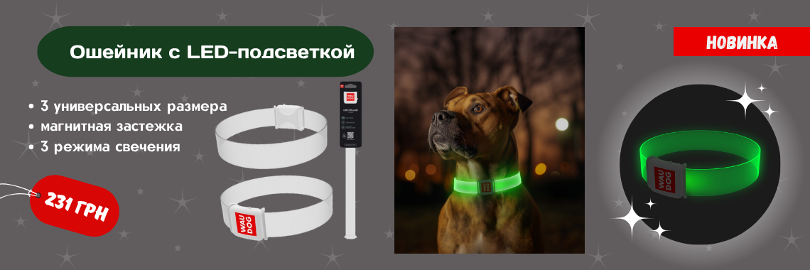 Ошейник LED
