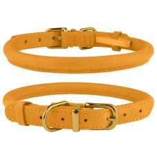 Нашийник для собак круглий шкіряний BronzeDog Crazy, золотий