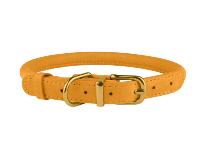 Нашийник для собак круглий шкіряний BronzeDog Crazy, золотий
