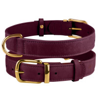 Нашийник для собак шкіряний BronzeDog Crazy, бордовий