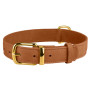 Нашийник для собак шкіряний BronzeDog Crazy, тауні