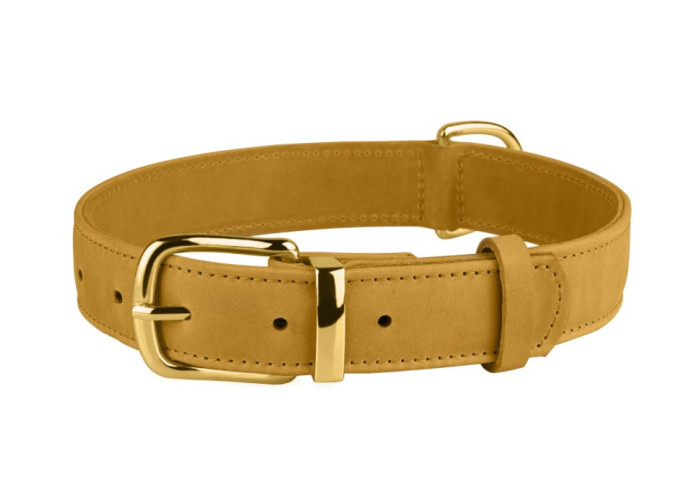 Нашийник для собак шкіряний BronzeDog Crazy, гірчичний