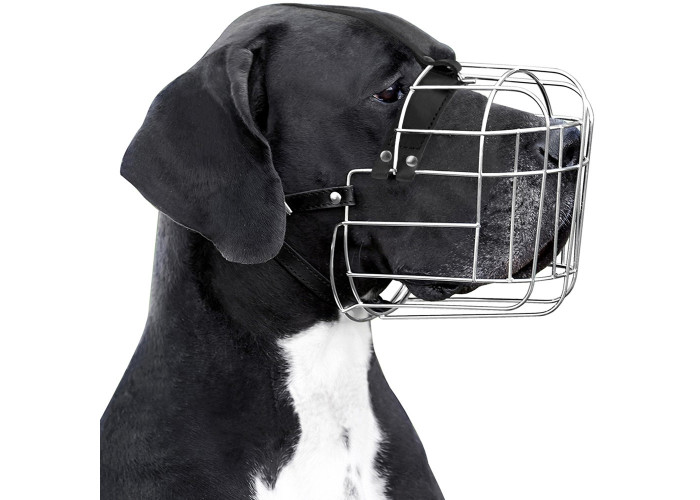 Намордник металевий Bronzedog (дог), 48х12 см