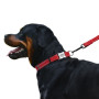 Ошейник для собак BronzeDog Active нейлоновый со светоотражающей лентой, металлическая пряжка, красный