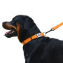 Ошейник для собак BronzeDog Active нейлоновый со светоотражающей лентой, металлическая пряжка, оранжевый
