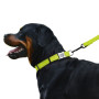 Ошейник для собак BronzeDog Active нейлоновый со светоотражающей лентой, металлическая пряжка, салатовый