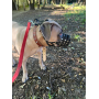 Намордник для собак водоотталкивающий биотановый Bronzedog (питбуль, амстафф), черный, 35х8 см