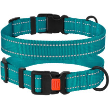 Ошейник для собак BronzeDog Active нейлоновый со светоотражающей лентой, пластиковая пряжка, бирюзовый