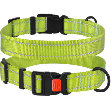 Ошейник для собак BronzeDog Active нейлоновый со светоотражающей лентой, пластиковая пряжка, салатовый