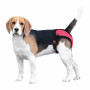 Трусы гигиенические BronzeDog Mesh регулируемые, розовые