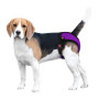 Трусы гигиенические BronzeDog Mesh регулируемые, фиолетовые