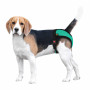 Трусы гигиенические BronzeDog Mesh регулируемые, ментоловые