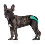 Трусы гигиенические BronzeDog Mesh регулируемые, ментоловые