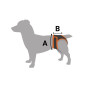 Трусы гигиенические BronzeDog Mesh регулируемые, розовые