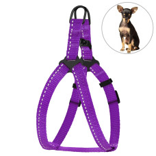 Шлея для собак мелких пород BronzeDog Active со светоотражающей лентой, фиолетовая