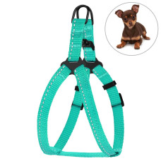 Шлея для собак мелких пород BronzeDog Active со светоотражающей лентой, ментоловая