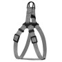 Шлея для собак мелких пород BronzeDog Active со светоотражающей лентой, серая