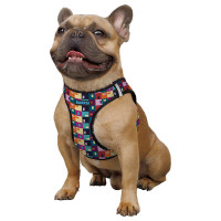 Шлея для собак Barksi Sport Vest "Пэчворк"
