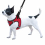 Шлея для собак Barksi Sport Vest неопрен 3D-сетка, красная