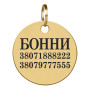 Адресник для собак BronzeDog Позолота Круглый