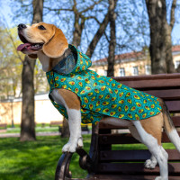 Дощовик з капюшоном для собак Barksi Textile, Авокадо