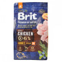 Сухой корм Brit Premium Adult M для взрослых собак средних пород, с курицей, 3 кг
