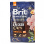 Сухой корм Brit Premium Senior S+M для пожилых собак малых и средних пород, с курицей, 3 кг