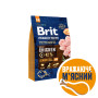 Сухой корм Brit Premium Senior S+M для пожилых собак малых и средних пород, с курицей, 3 кг