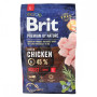 Сухой корм Brit Premium Adult L для взрослых собак крупных пород, с курицей, 3 кг