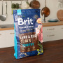 Сухой корм Brit Premium Sensitive Lamb для собак с чувствительным пищеварением, с ягненком, 3 кг