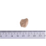 Лакомство для собак Brit Dog Raw Treat Freeze-dried Urinary для поддержания здоровья мочевой системы у собак – с индейкой, 40 г