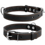 Ошейник CoLLaR одинарный, черный