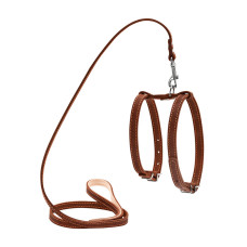 Шлея с поводком для мелких собак "CoLLaR", коричневый