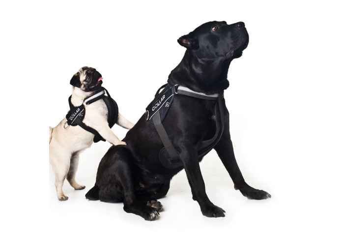 Шлея для собак "Dog Extreme" "POLICE", черный