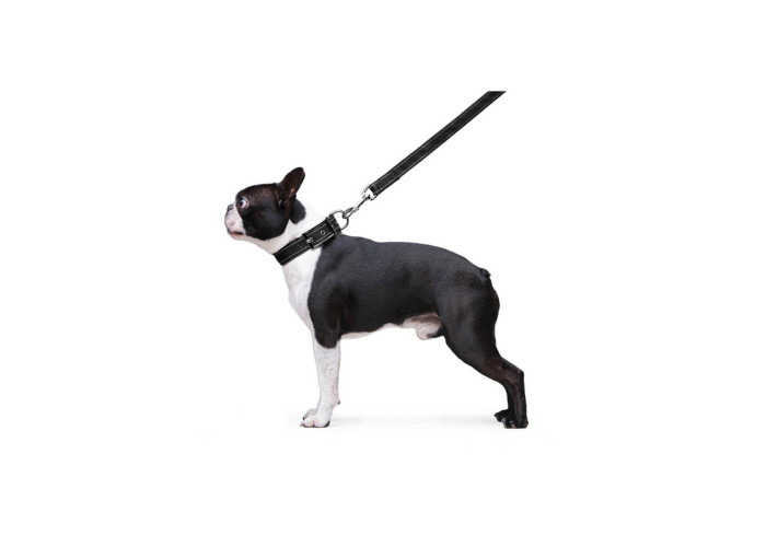 Поводок "Dog Extreme" нейлоновый двойной, длина 122 см, черный
