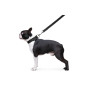 Поводок "Dog Extreme" нейлоновый двойной, длина 122 см, черный
