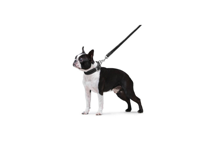 Поводок "Dog Extreme" нейлоновый двойной, длина 122 см, черный