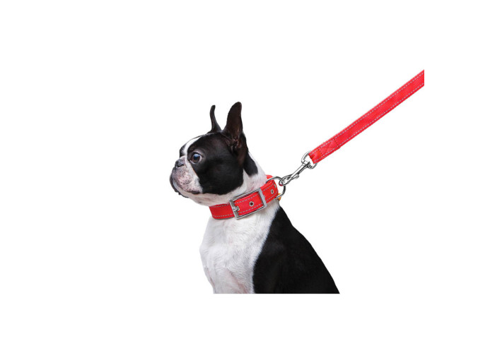 Поводок "Dog Extreme" нейлоновый двойной, длина 122 см, красный