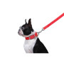 Поводок "Dog Extreme" нейлоновый двойной, длина 122 см, красный