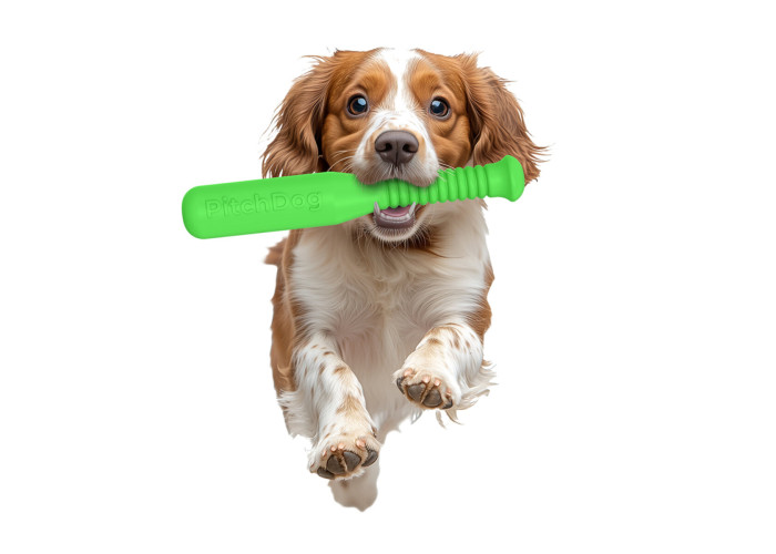 Игровая бита для апортировки PitchDog, салатовая