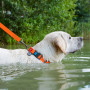 Нашийник для собак водостійкий WAUDOG Waterproof з QR-паспортом, пластикова пряжка-фастекс, помаранчевий