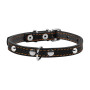Ошейник "CoLLaR" одинарный с украшениями, черный