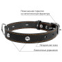 Ошейник "CoLLaR" одинарный с украшениями, черный