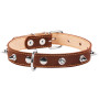 Ошейник "CoLLaR" двойной с шипами, коричневый