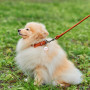 Ошейник для собак кожаный WAUDOG Soft с QR паспортом, круглый, коричневый