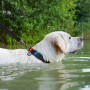Нашийник для собак водостійкий WAUDOG Waterproof з QR-паспортом, пластикова пряжка-фастекс, чорний