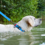 Нашийник для собак водостійкий WAUDOG Waterproof з QR-паспортом, пластикова пряжка-фастекс, блакитний