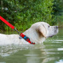 Нашийник для собак водостійкий WAUDOG Waterproof з QR-паспортом, пластикова пряжка-фастекс, червоний